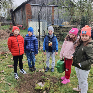 Dzień Ziemi Z okazji Dnia Ziemi uczniowie na terenie szkolnego podwórka zakładali mini sad.